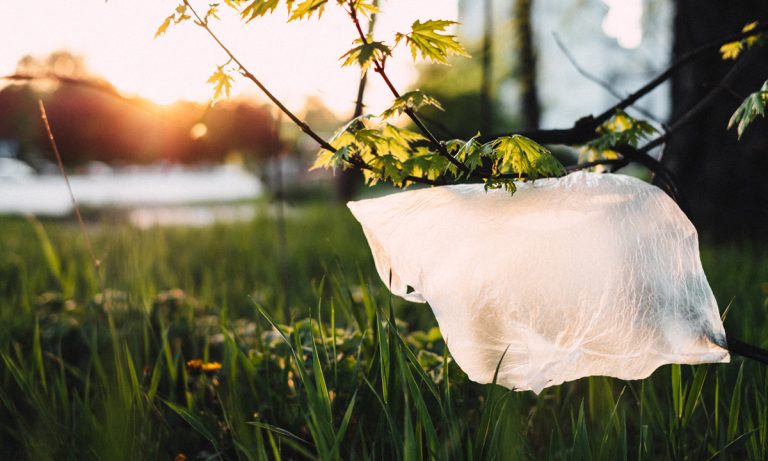 New Zealand Just Banned The Use Of Plastic Bags