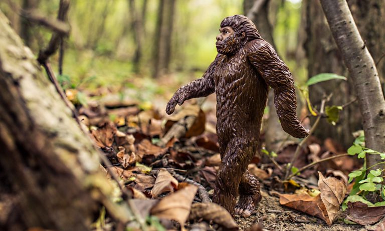 People Are Searching Bigfoot Porn Thanks To A Republican