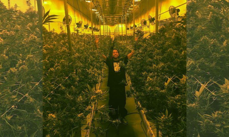Rapper Tyga Teases New Weed Strain