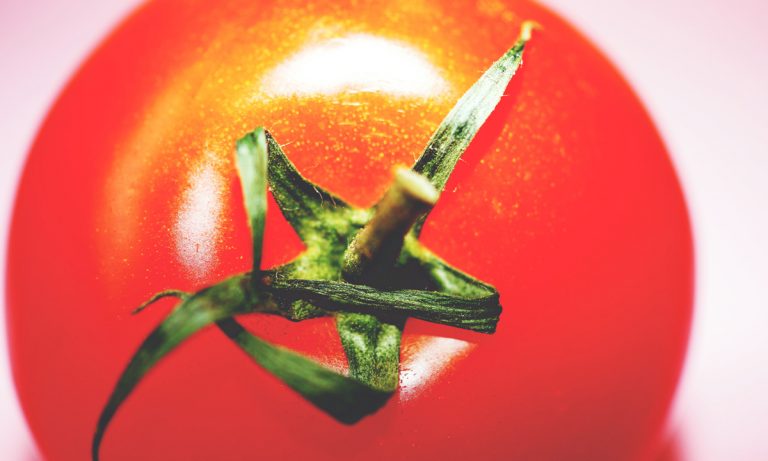 Rotten Tomatoes Is Overhauling Its Rating System