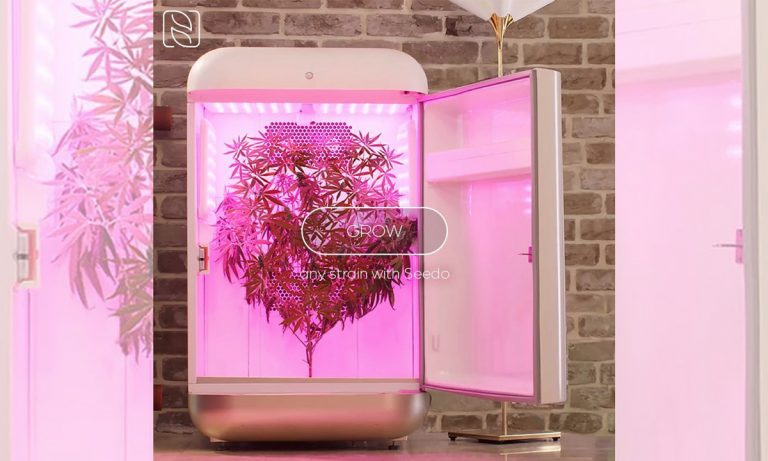 Weed Grow Box Company Is Trying To Lure Hip Hop Artists