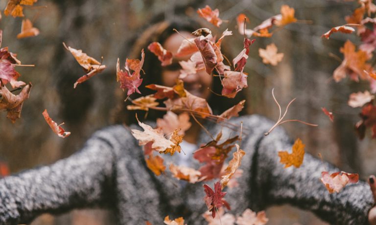 6 Wellness And CBD Products To Get You Ready For Fall