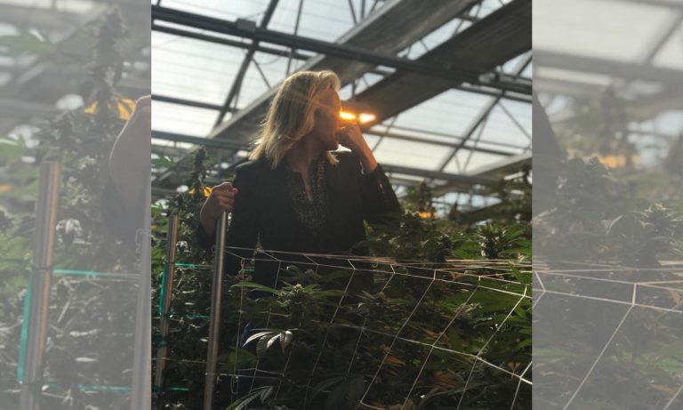 Chelsea Handler Can’t Stop Discussing Cannabis, Microdosing And Edibles