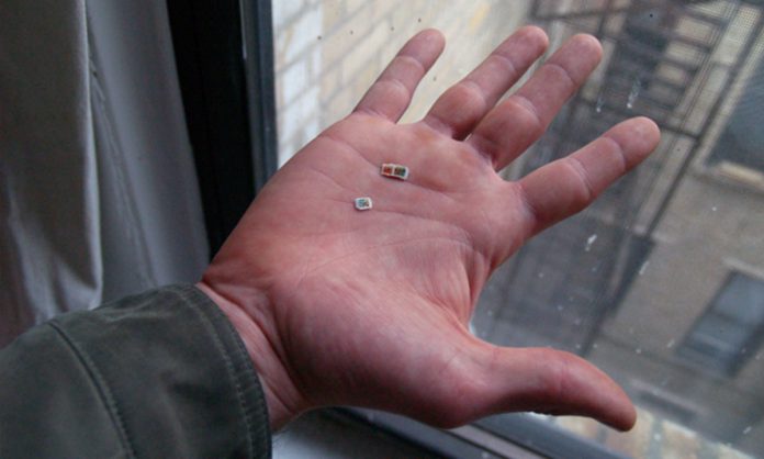 https://en.wikipedia.org/wiki/Psychedelic_drug#/media/File:Adams-hand-net.jpg First Study On Microdosing Psychedelics Underway And You Can Participate