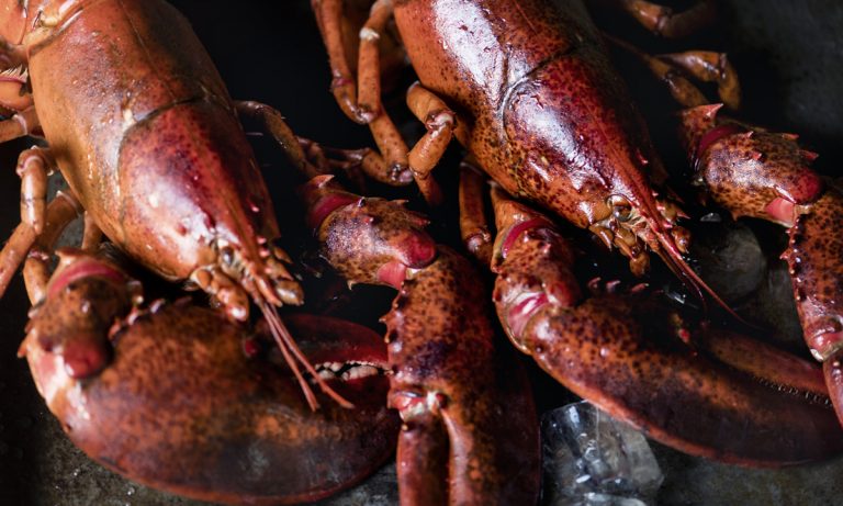 Maine Restaurant Serving Stoned Lobsters Now In Hot Water