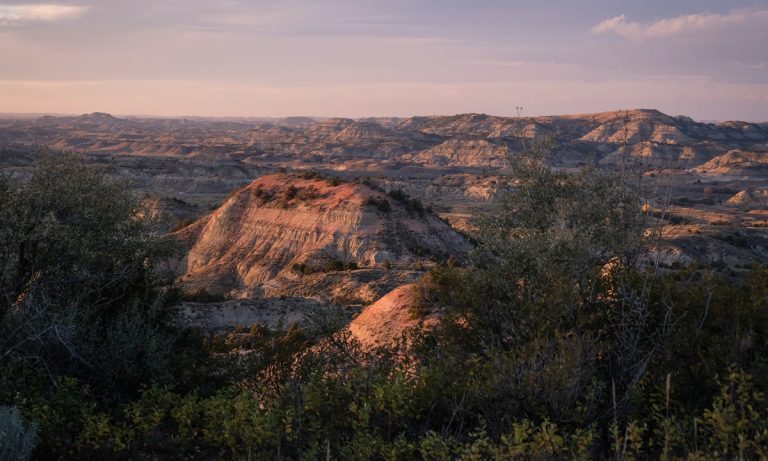 North Dakota Cannabis Activists Gain Powerful Legalization Ally