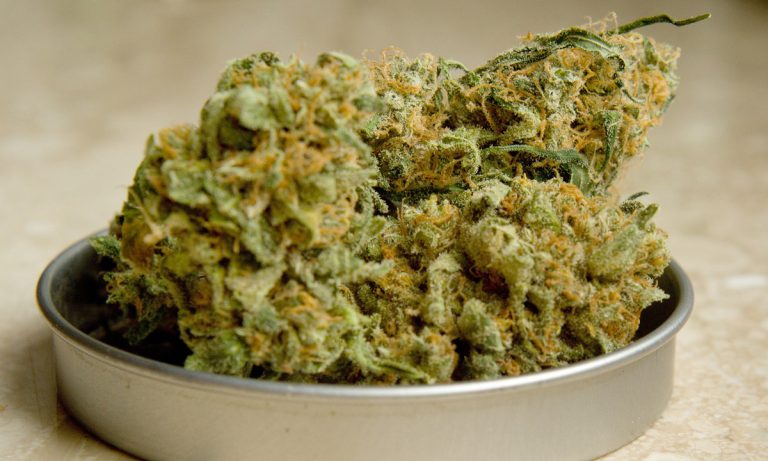 Why You Can’t Overdose On Cannabis