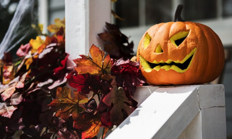 Halloween Costume For Internet Fans