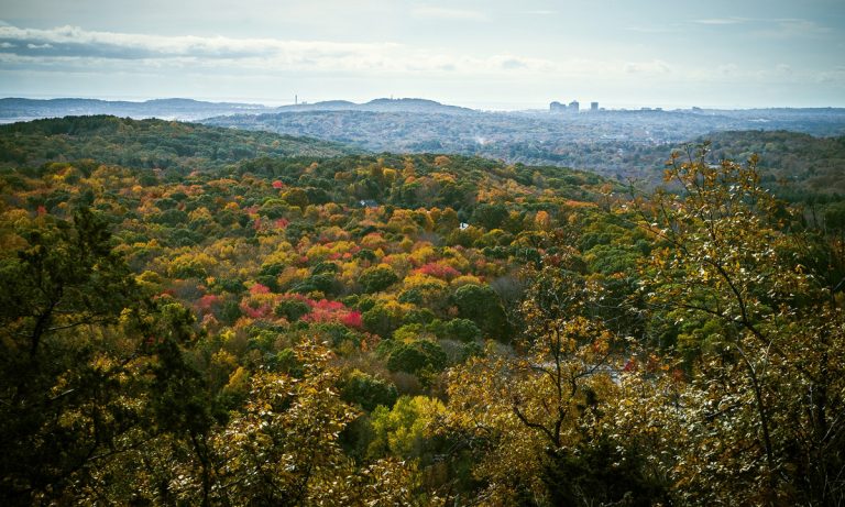 Connecticut Gubernatorial Candidate Says He’ll Legalize Marijuana If Elected