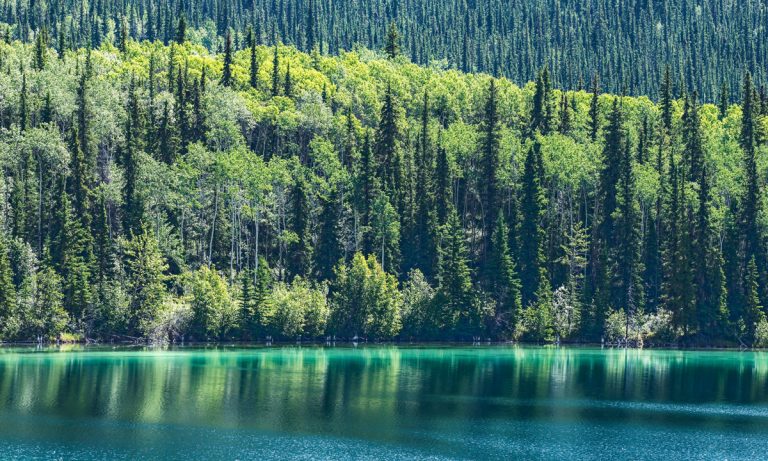 8-Year-Old Finds 1000 Year Old Relic