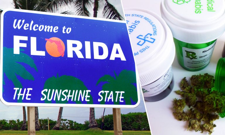 How Florida’s Medical Marijuana Debacle Will Impact Midterm Elections