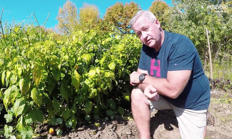 WATCH: Guy Eats World’s Two Hottest Peppers, Relies On Internet To Save Him
