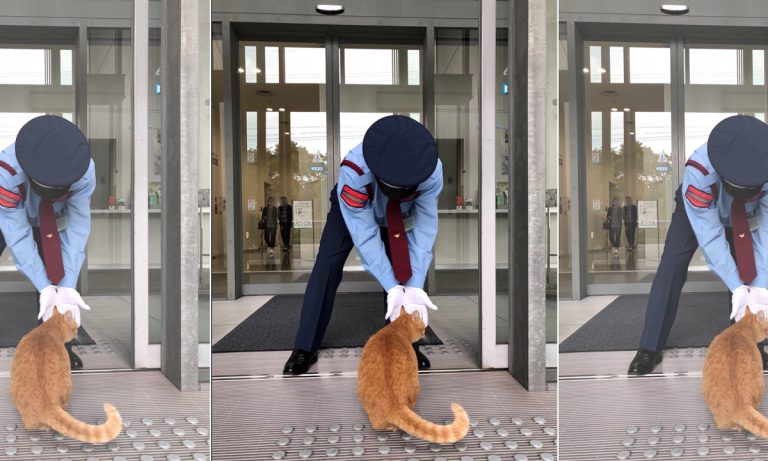 WATCH: Museum Guard Spends Most Of His Time Denying 2 Cats Entry