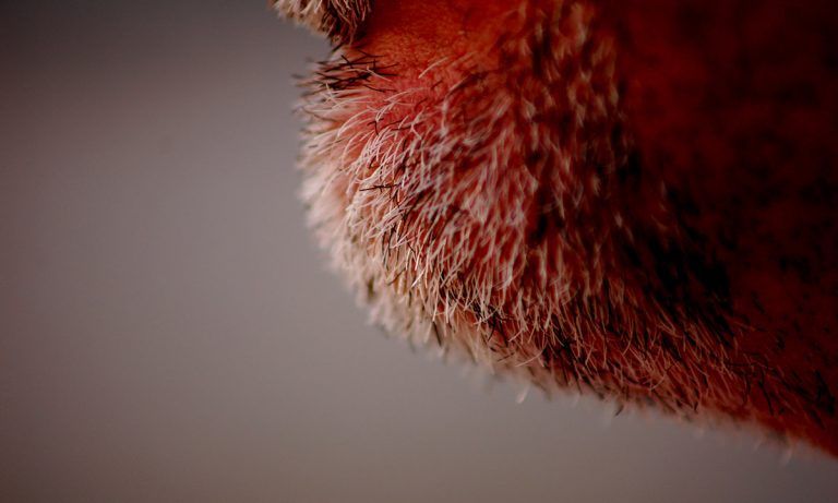 It’s A Scientific Fact That Men With Beards Are More Attractive