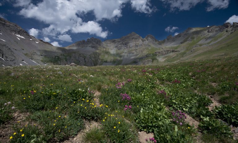 Study Slams Cost Of Cannabis Legalization, But Relies On Flawed Data