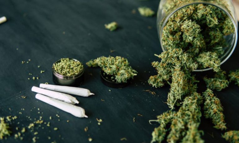 Marijuana In Mexico: How To Legalize It Effectively, Fairly And Safely