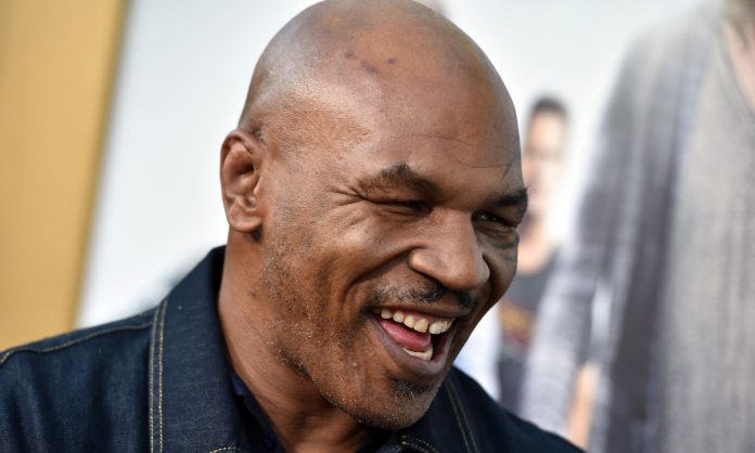 mike tyson once boxed while high and won mike tyson once boxed while high and won