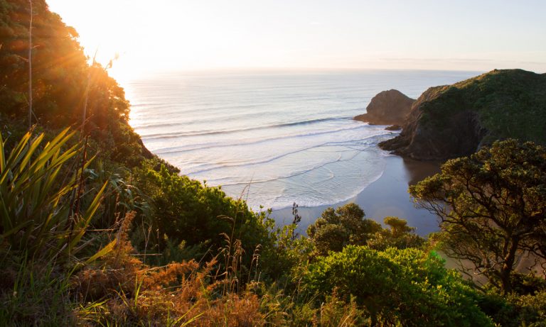 New Zealand Legalizes Medical Marijuana, Makes It Widely Available