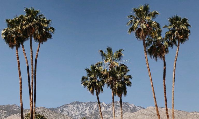 California Renters’ Dilemma: What To Do When You Can’t Smoke In Your Own Home