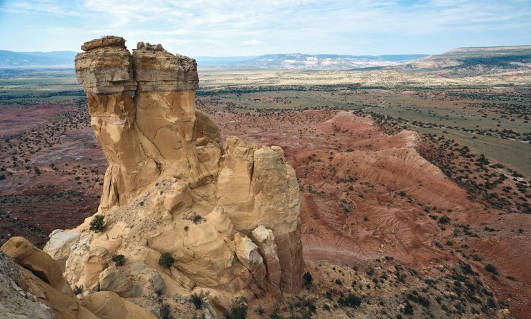 New Mexico Medical Marijuana Program Totals $106 Million in 2018