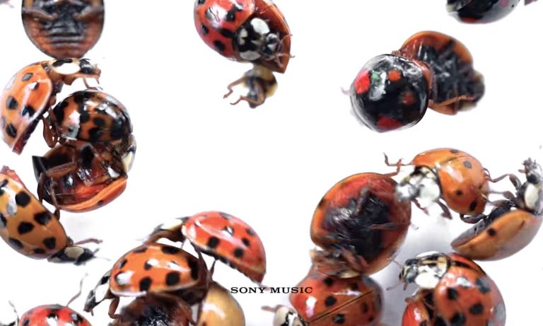 This Week’s Music: Vampire Weekend, Jenny Lewis And Unperfect Release New Songs