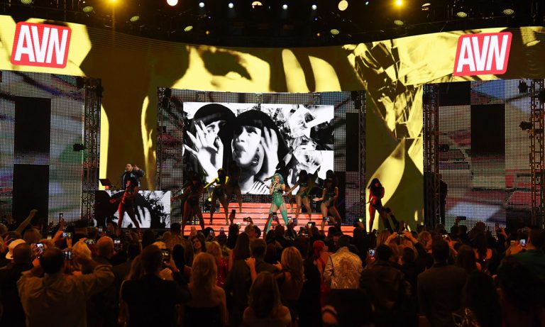 Winning The Oscars Of Porn Doesn’t Mean Much For The Success Of Porn Stars