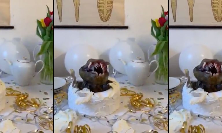 WATCH: Alien Cake Is The Only Way Parents Should Do Gender Reveal Parties