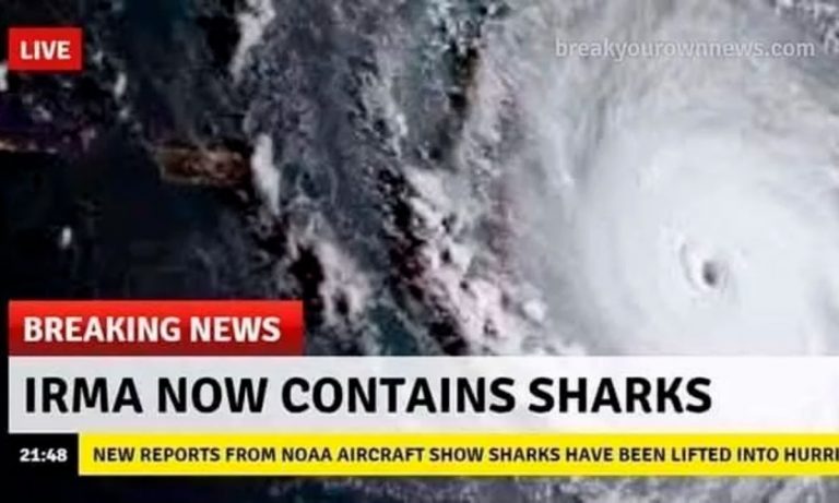 Don’t Be Fooled By Fake Images And Videos Online