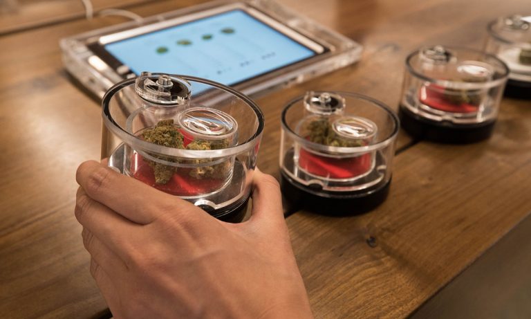 What MedMen’s Financial Woes Means For The Cannabis Industry