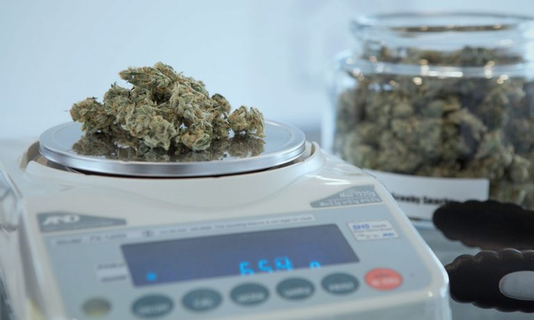 Poll: Democrats In Favor Of Marijuana Legalization More Than Ever