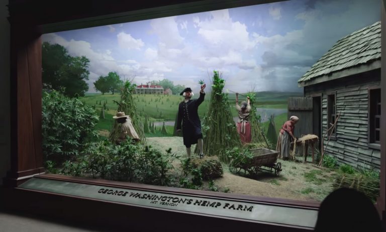 Weed Is ‘The New Normal’ In Spike Jonze’s MedMen Commercial