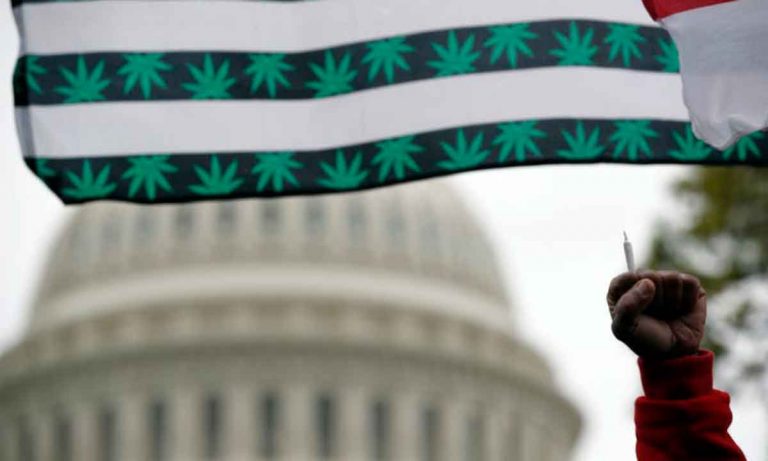 Why Do So Many Americans Now Support Legalizing Marijuana?