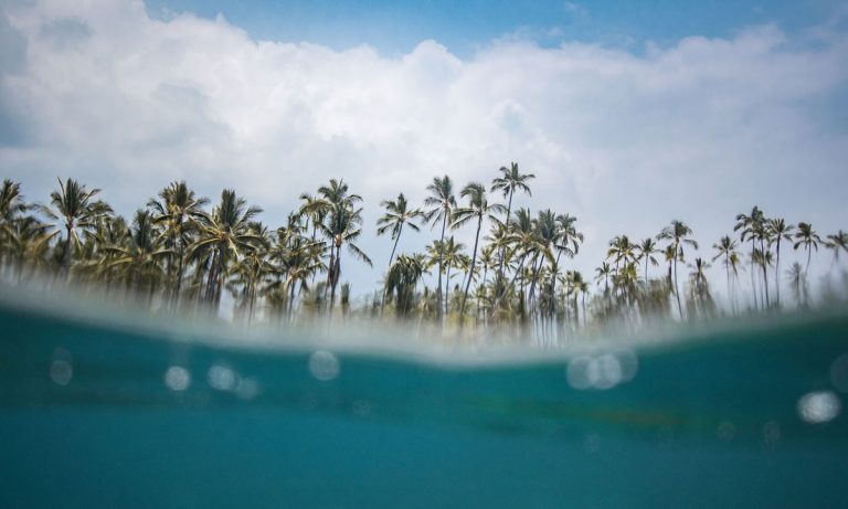 Hawaii Once Again Says No To Recreational Marijuana