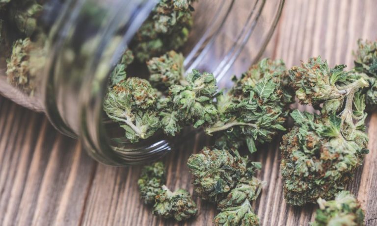 What Canopy Growth Investors Need to Know About the Houseplant Deal