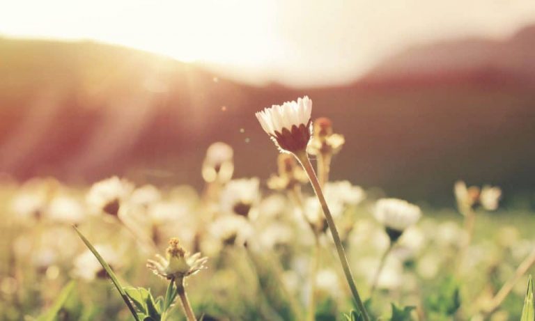 Spring Cleaning For Your Marijuana Gear