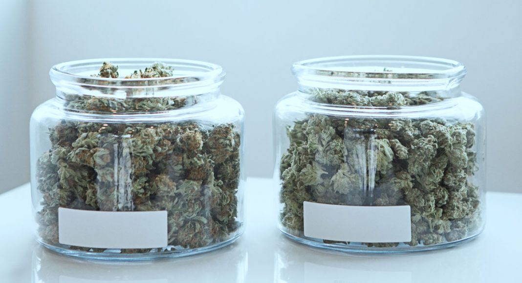 study finds the most efficient way to store marijuana over long periods of time