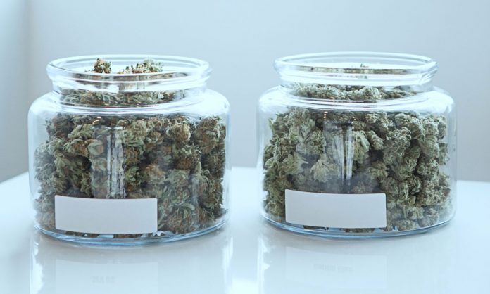 study finds the most efficient way to store marijuana over long periods of time study finds the most efficient way to store marijuana over long periods of time