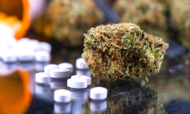 The White House Lying About Marijuana And Fentanyl?