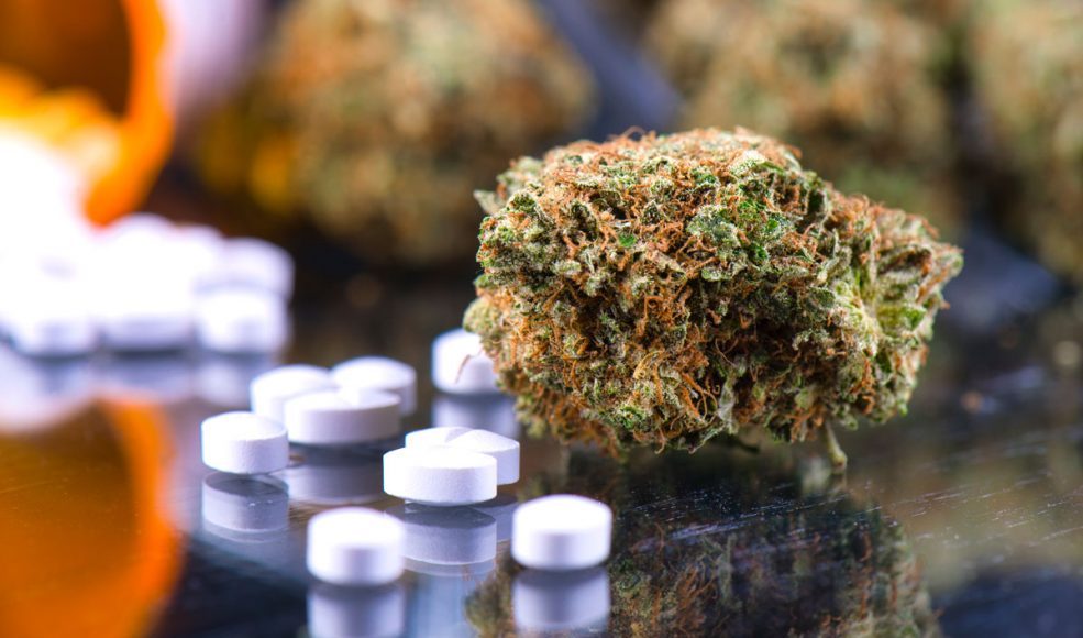 marijuana fentanyl opioids