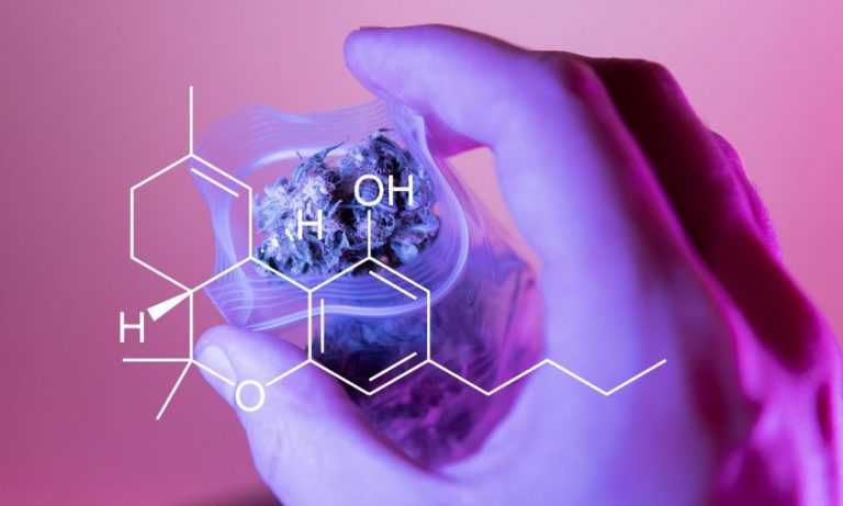Cannabis 101: Why Doesn’t CBD Get You Stoned?