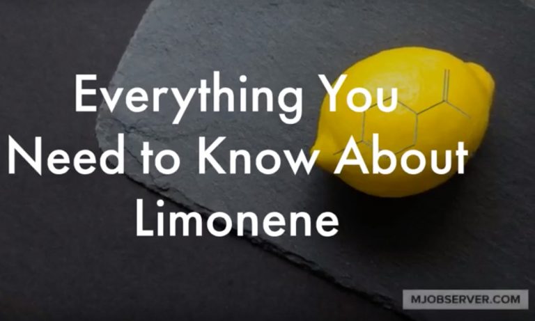 Everything You Need to Know About The Terpene Limonene