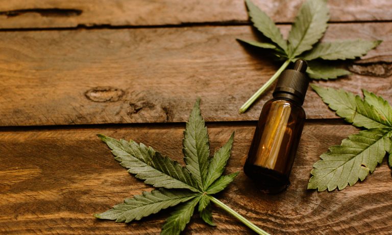 How Cannabis Slows Down The Effects Of Macular Degeneration