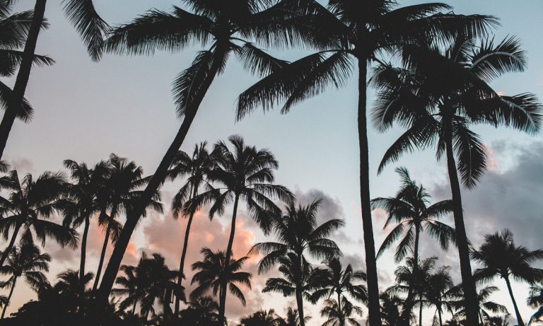 Florida & DeSantis Bungling Medical Marijuana Program Again