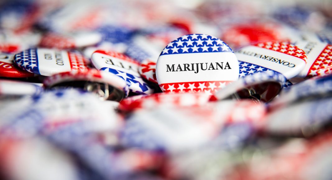 marijuana vote decriminalization