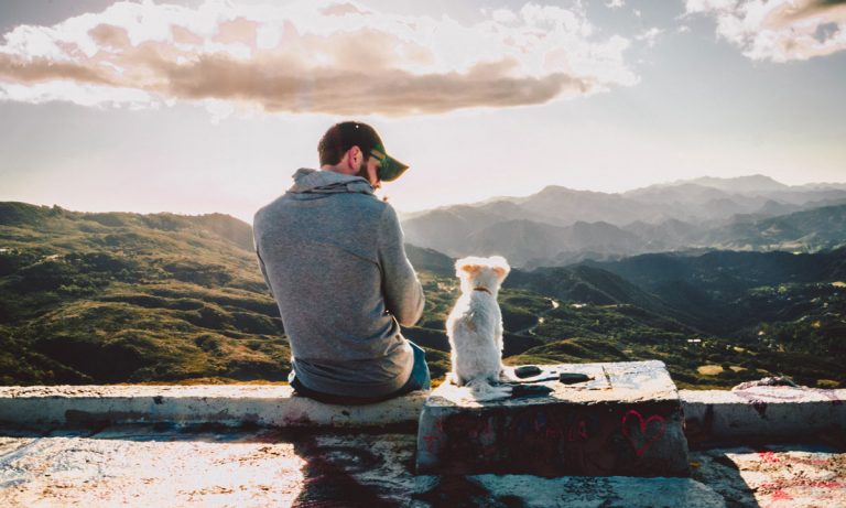 This Is Why We Value Dogs More Than Cats