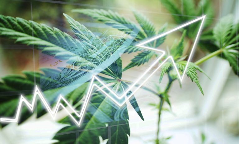 Who Will Be The Big Business Winners In Cannabis?