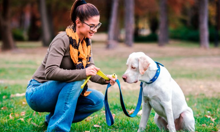 Why You Should Be Wary Of ‘Biodegradable’ Dog Poo Bags