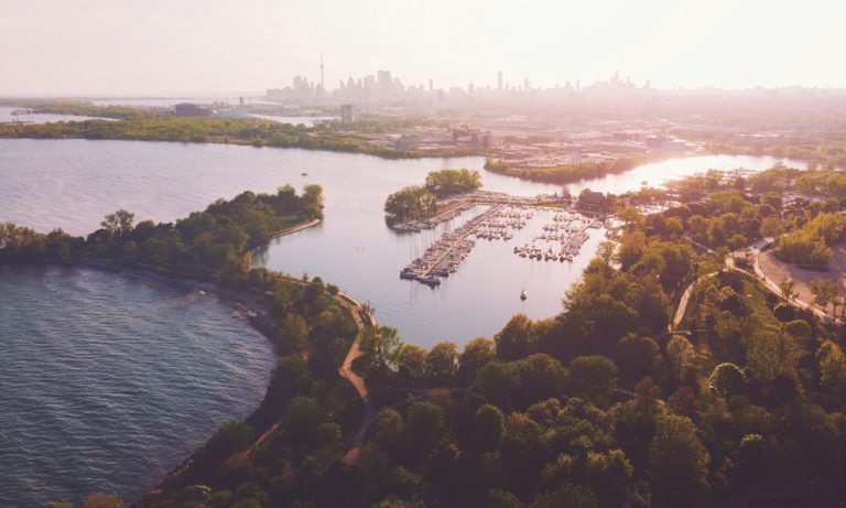 Canadians Have Less Of This To Have More Weed