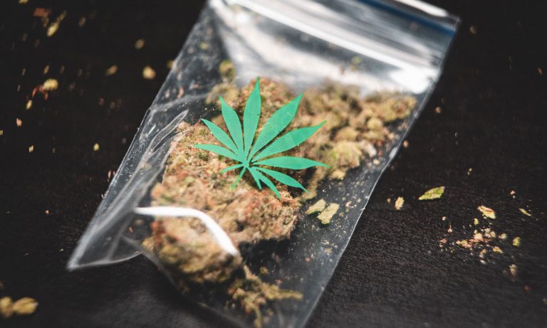 Alabama Senator Tells Cancer Patients To Buy Marijuana On The Streets