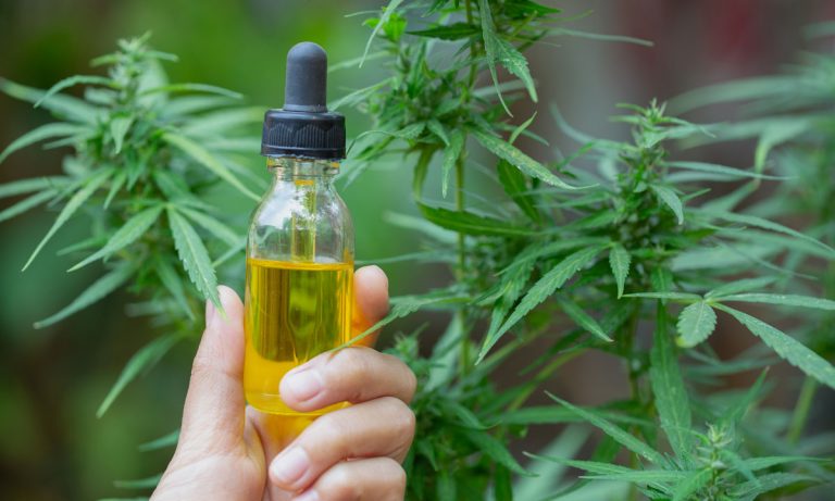 Using CBD To Cope With Festival Anxiety